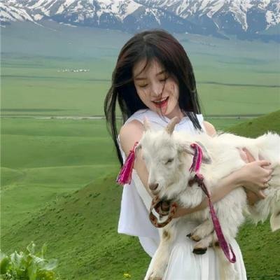 女王的哥基